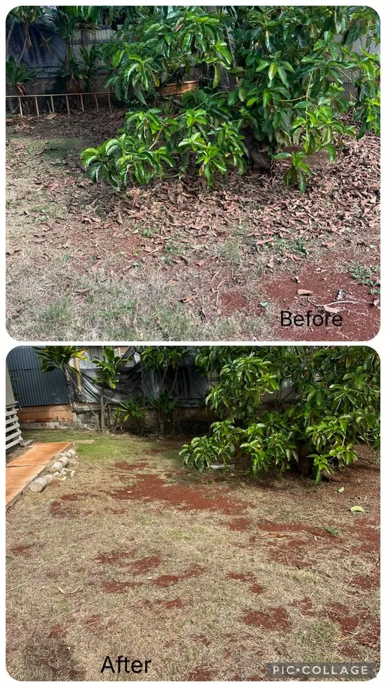 Professional lawn care service in Waipahu, HI - K&K Lawn Care