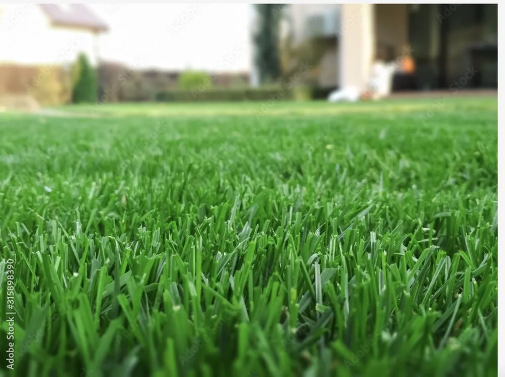 Local yard cleanup service for residential properties in Millersburg, IN by K&K Lawn Service