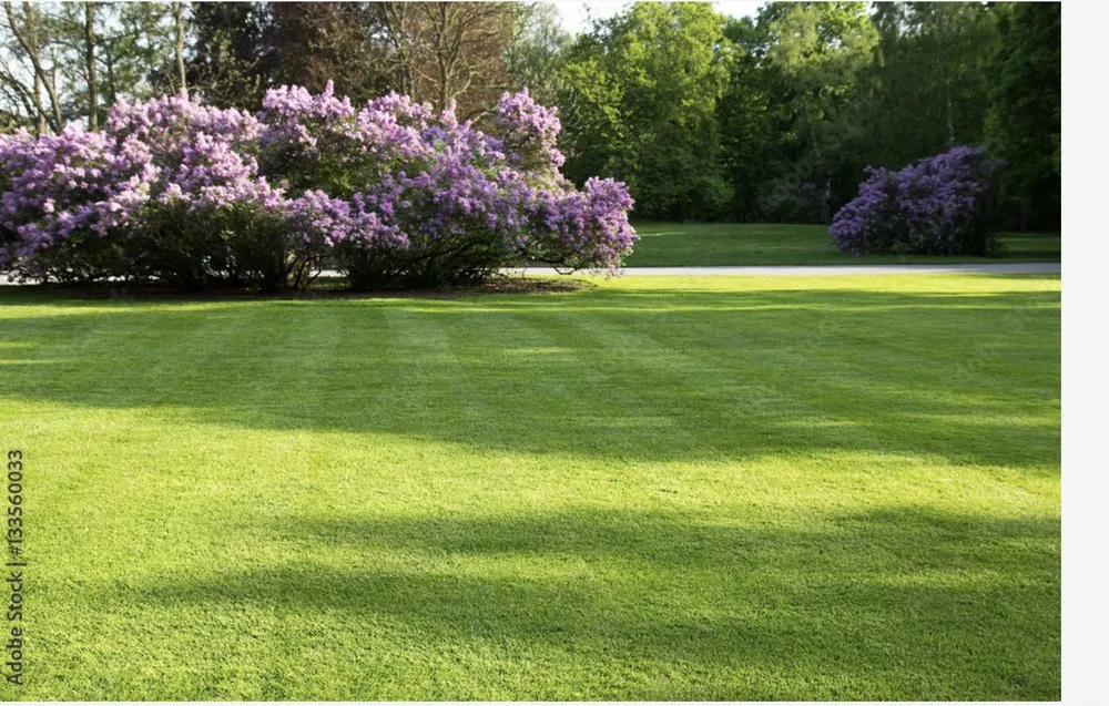 Trusted garden landscaping in Millersburg, IN by K&K Lawn Service