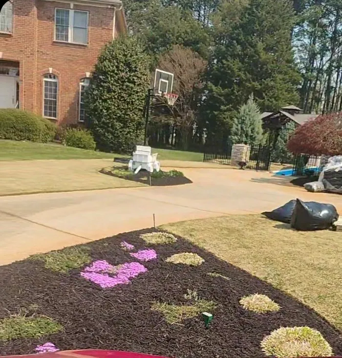 Expert landscaping services for beautiful yards across Greenville, SC - K&K Property Services