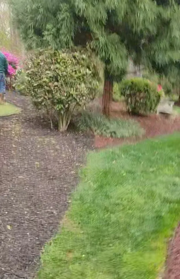 Expert residential landscaping for residential properties across Greenville, SC - K&K Property Services