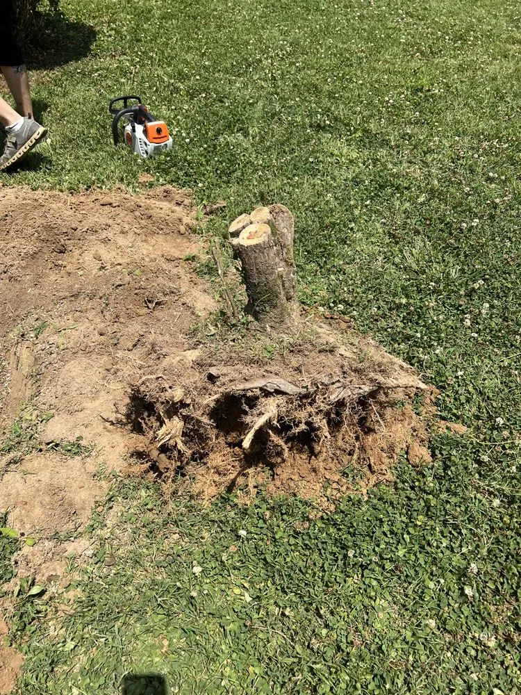 Trusted landscape installation for year-round maintenance in Mayfield, KY by K&K Services