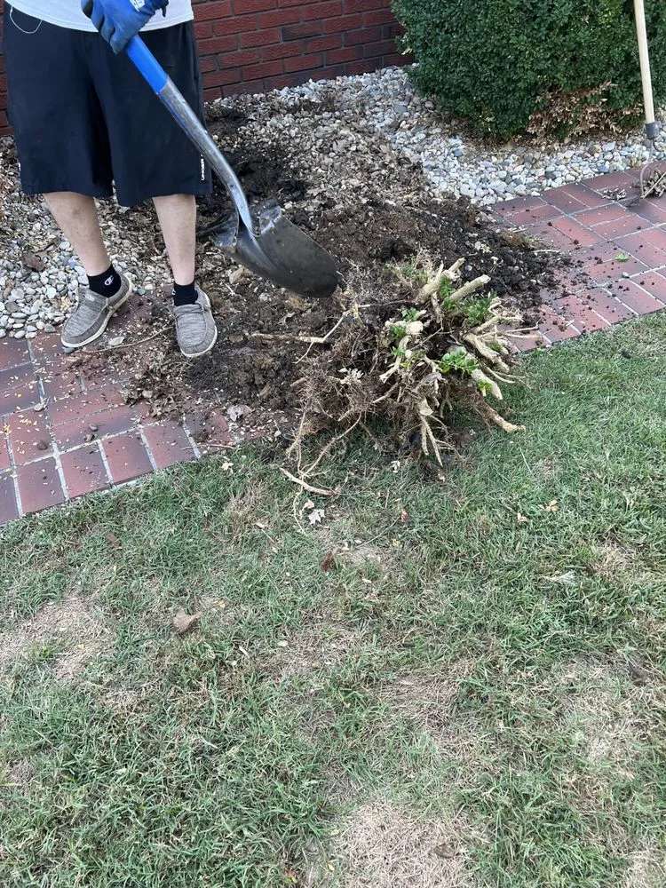 Affordable lawn mowing service with custom design in Mayfield, KY by K&K Services