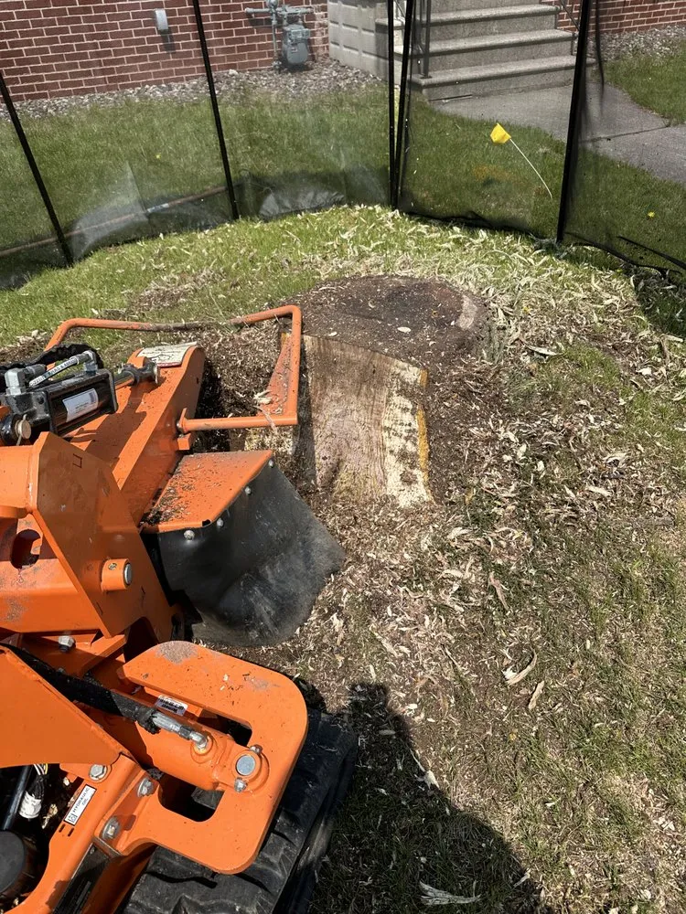 Trusted lawn mowing service for year-round maintenance across Green Bay, WI - K&K Stump Removal