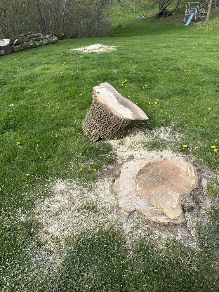 Reliable residential landscaping experts serving Green Bay, WI - K&K Stump Removal