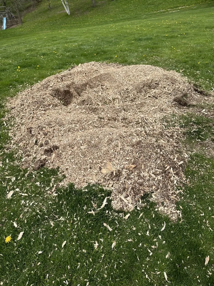 Local lawn mowing service in Green Bay, WI - K&K Stump Removal