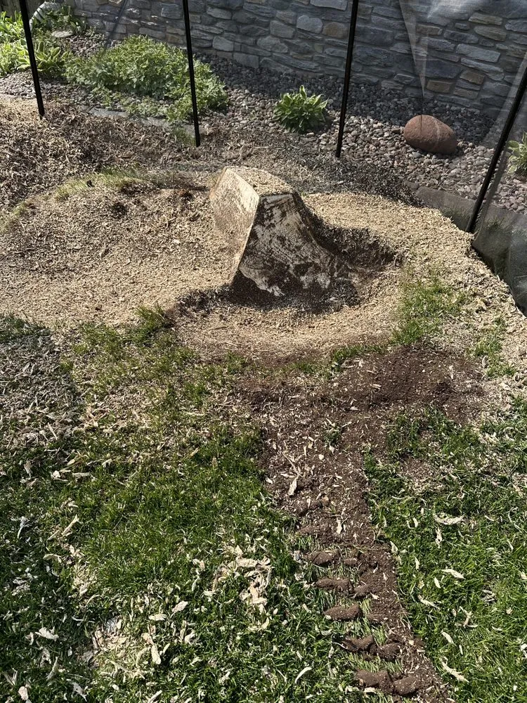 Expert residential landscaping in Green Bay, WI - K&K Stump Removal