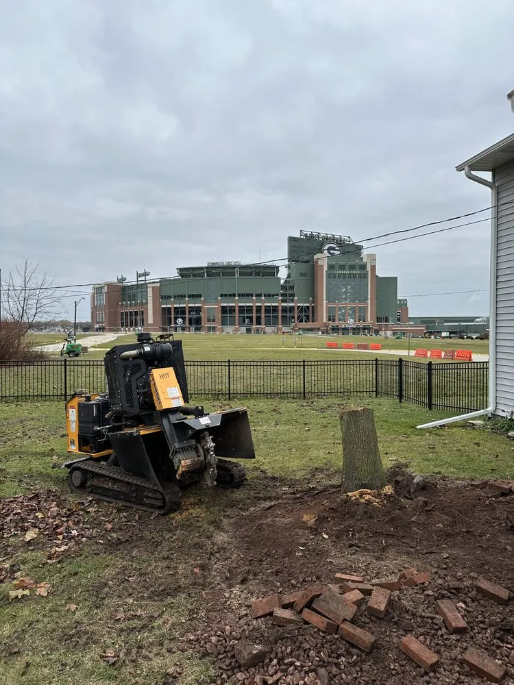 Local yard cleanup service experts serving Green Bay, WI - K&K Stump Removal