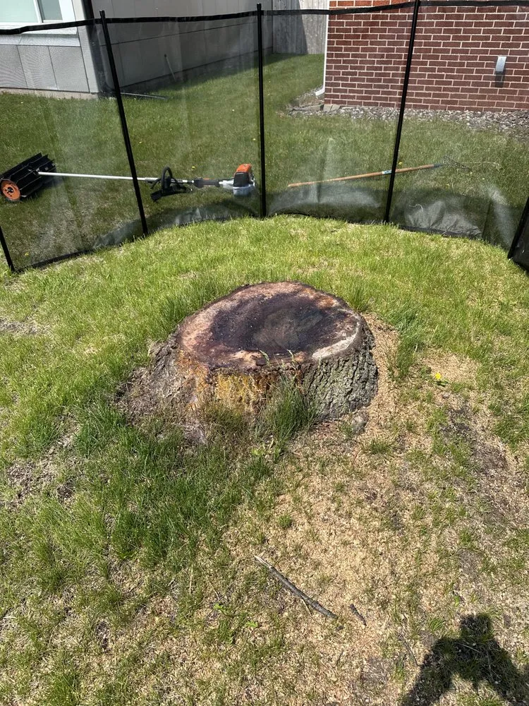 Top-rated lawn mowing service in Green Bay, WI by K&K Stump Removal