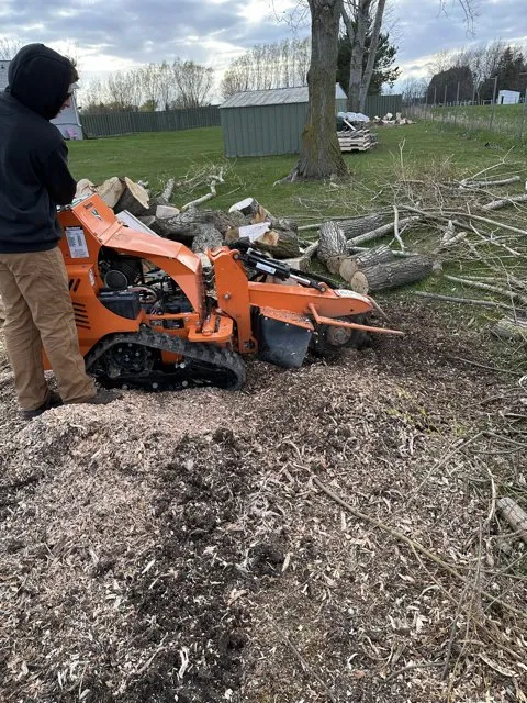 Local residential landscaping in Green Bay, WI by K&K Stump Removal