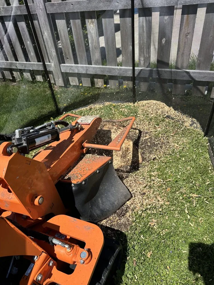 Trusted landscape installation experts serving Green Bay, WI - K&K Stump Removal