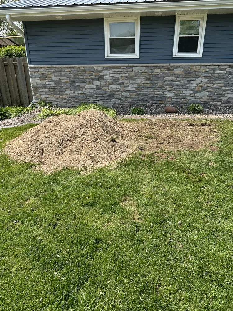 Reliable yard maintenance near you in Green Bay, WI by K&K Stump Removal