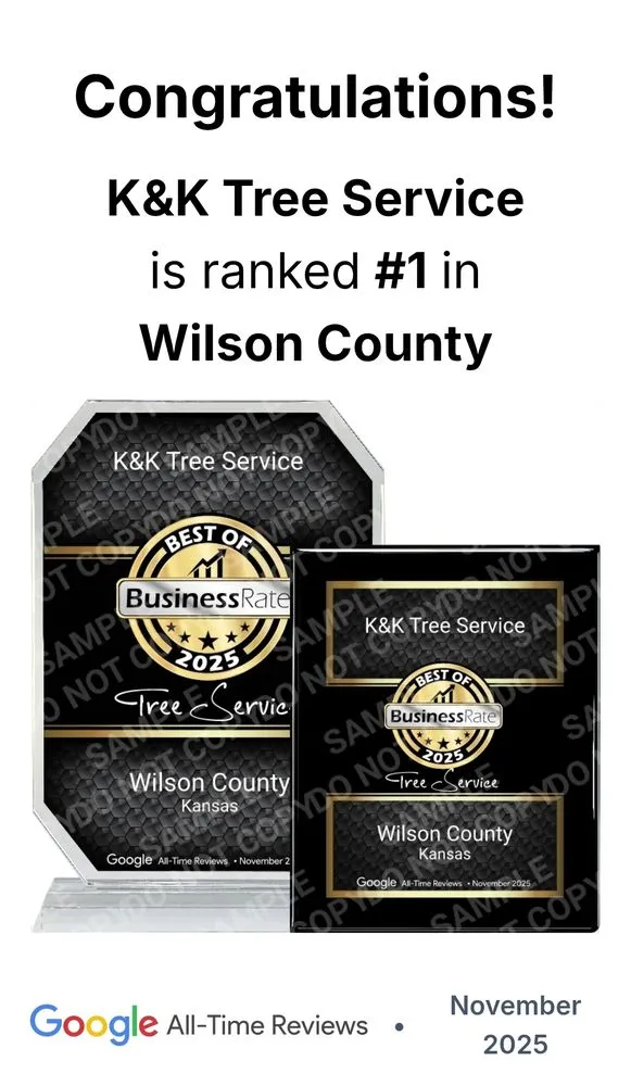 Professional yard maintenance experts serving Fall River, KS - K&K Tree Service