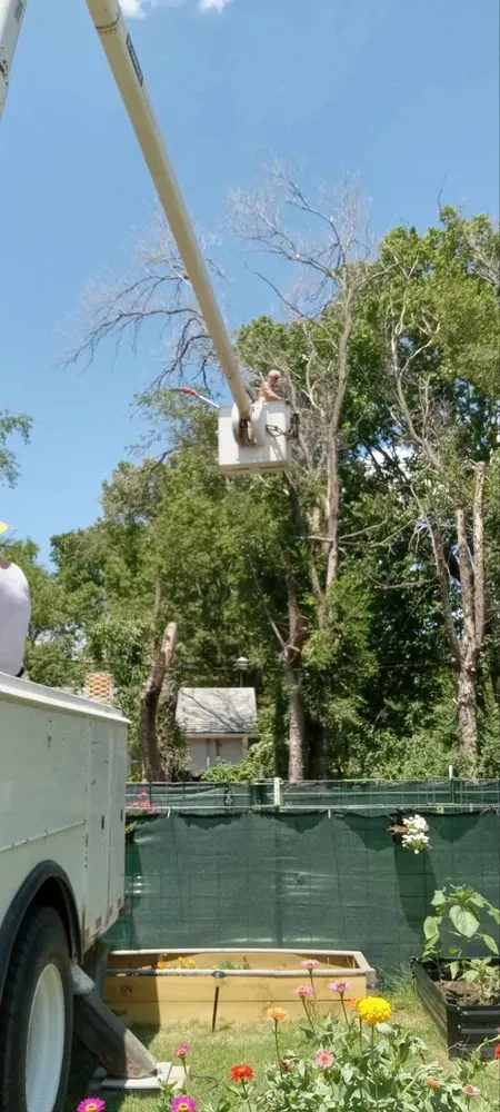 Top-rated landscape installation experts serving Fall River, KS - K&K Tree Service