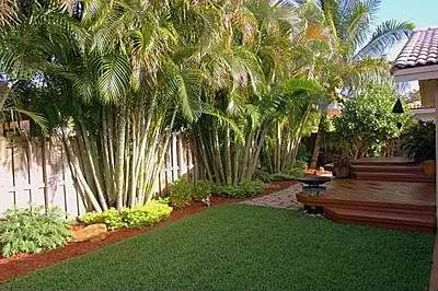 Affordable garden landscaping near you across Kalaheo, HI - K&K Yard Service
