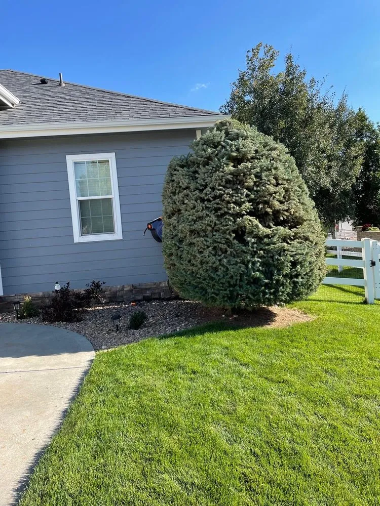 Local landscaping services with custom design in Thornton, CO by KKJ Landscaping And Tree Services