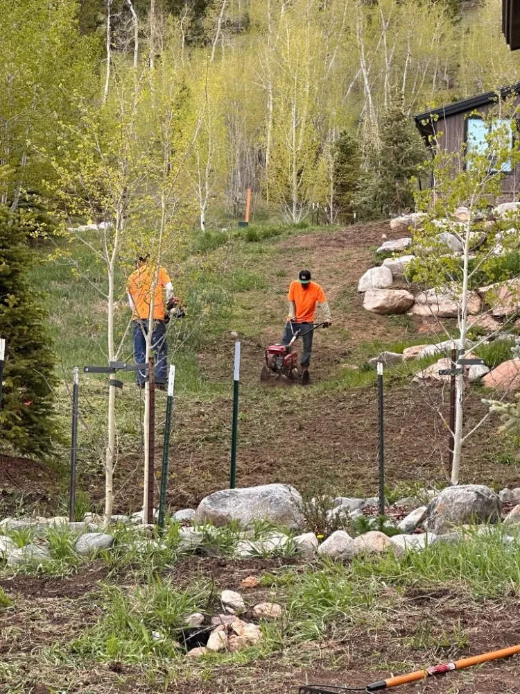 Local landscape installation near you across Thornton, CO - KKJ Landscaping And Tree Services