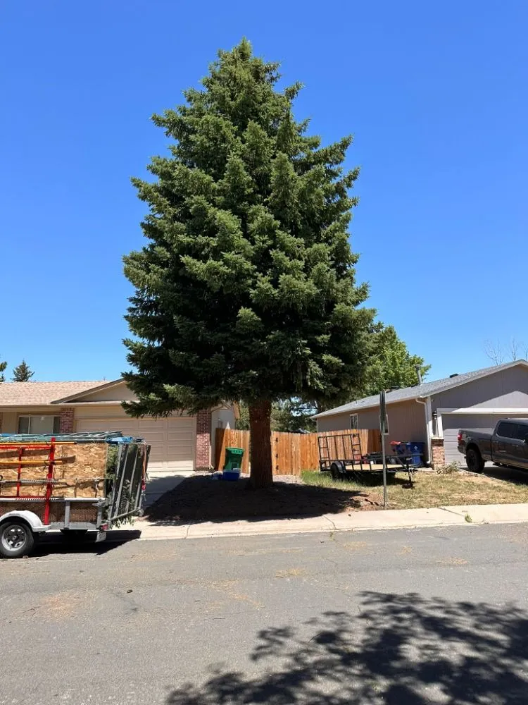 Local garden landscaping for outdoor upgrades across Thornton, CO - KKJ Landscaping And Tree Services
