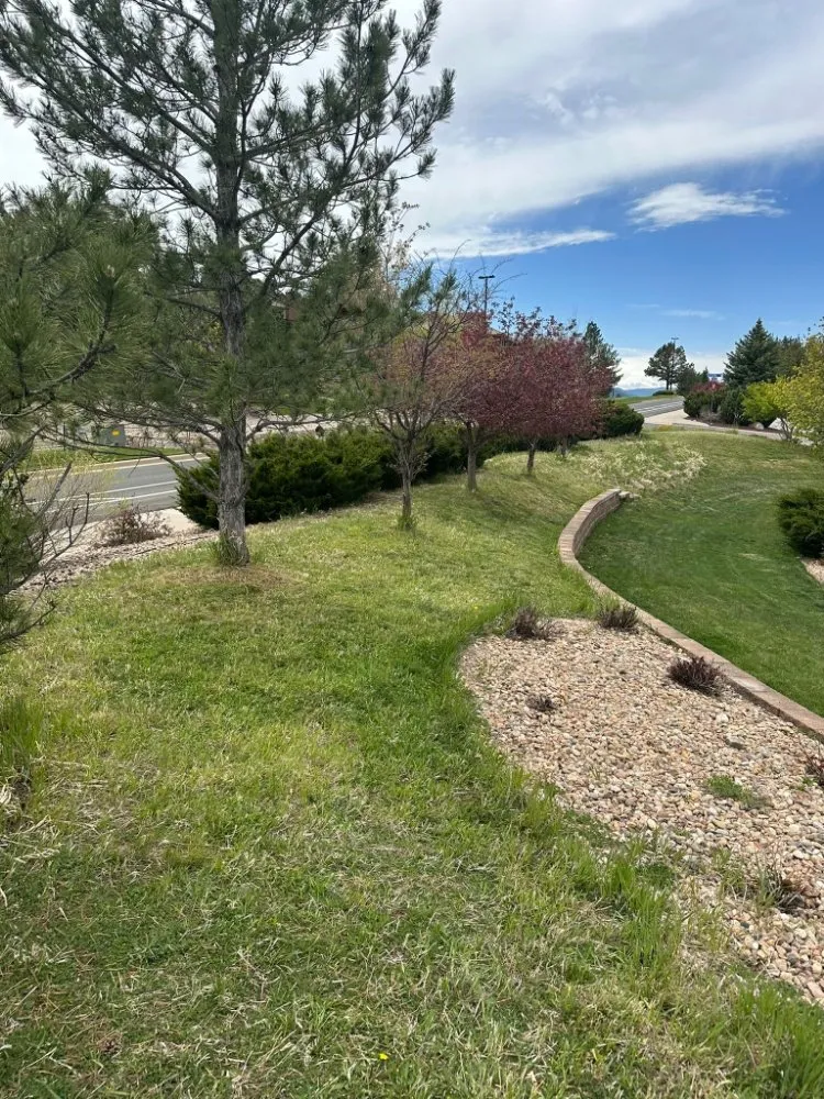 Reliable yard maintenance in Thornton, CO by KKJ Landscaping And Tree Services
