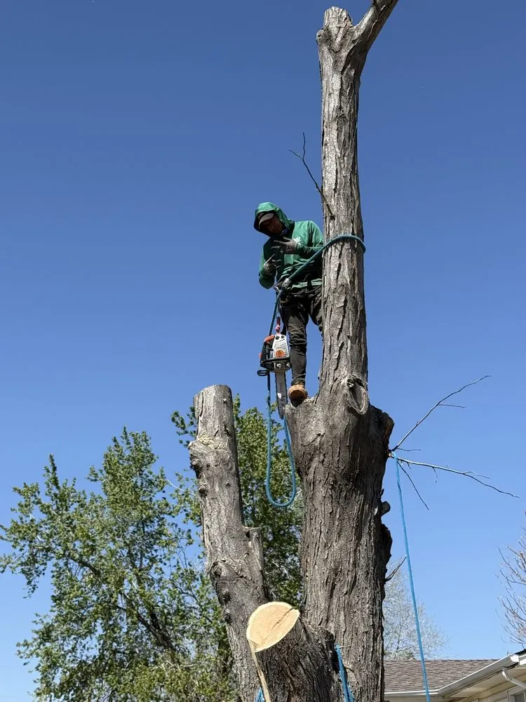 Professional outdoor landscaping experts serving Thornton, CO - KKJ Landscaping And Tree Services