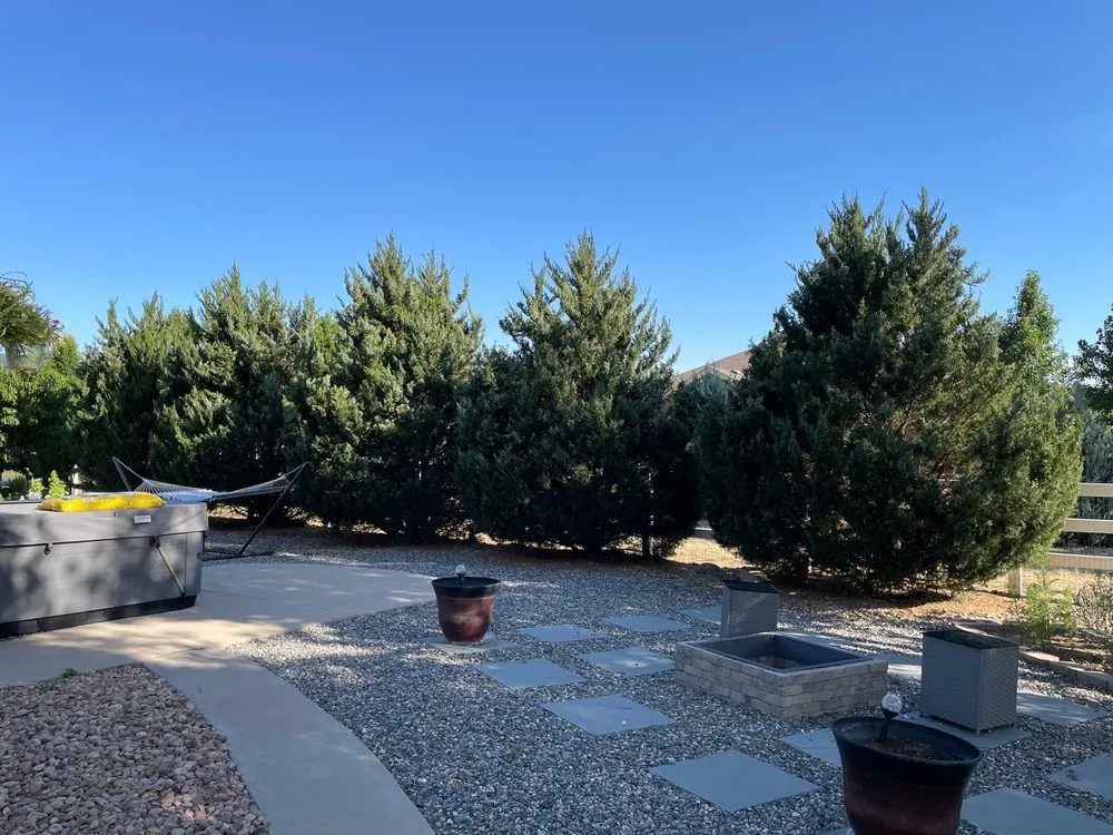 Local yard cleanup service for year-round maintenance across Thornton, CO - KKJ Landscaping And Tree Services