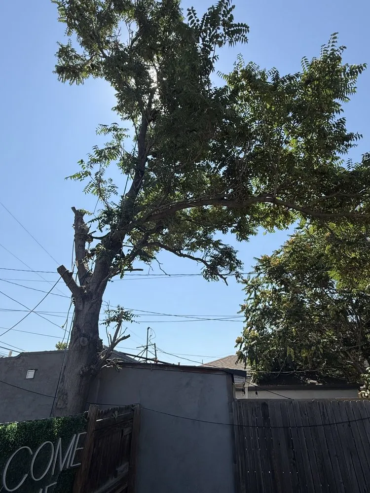 Custom landscape design in Thornton, CO - KKJ Landscaping And Tree Services