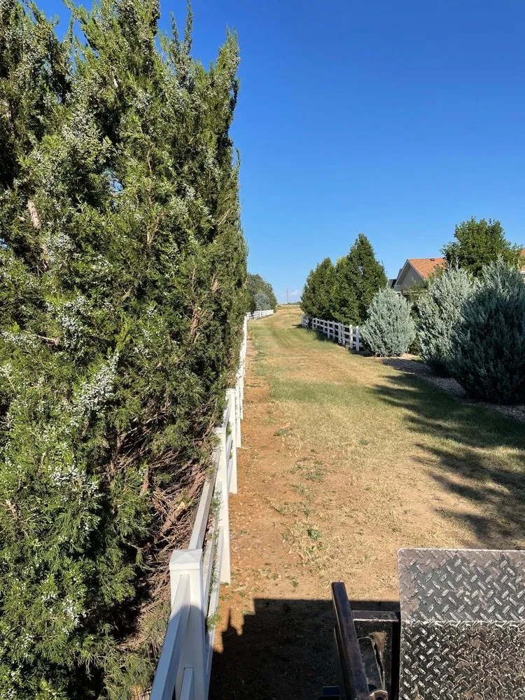 Custom landscape installation in Thornton, CO - KKJ Landscaping And Tree Services