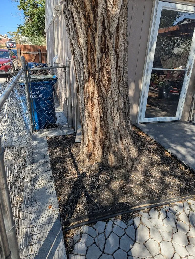 Expert outdoor landscaping in Thornton, CO - KKJ Landscaping And Tree Services