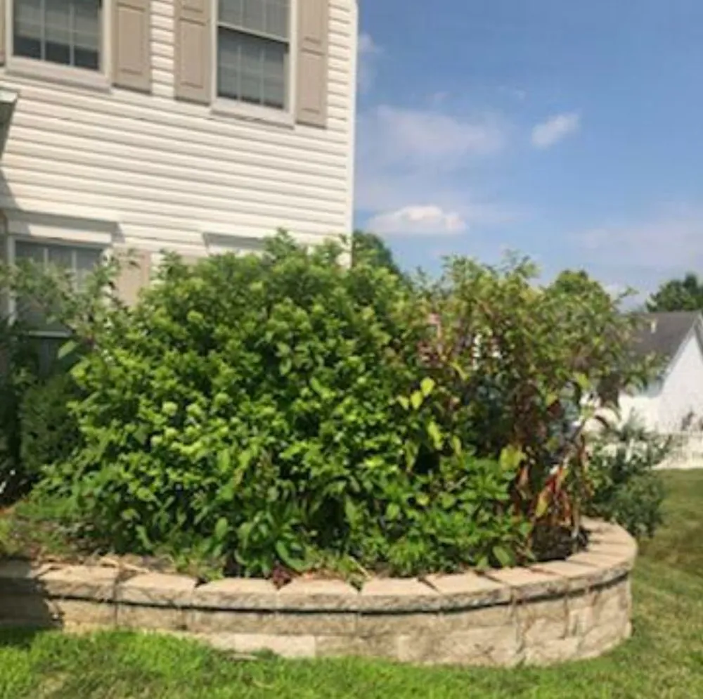 Custom residential landscaping for year-round maintenance in Ofallon, MO by KKL Outdoor and Landscape