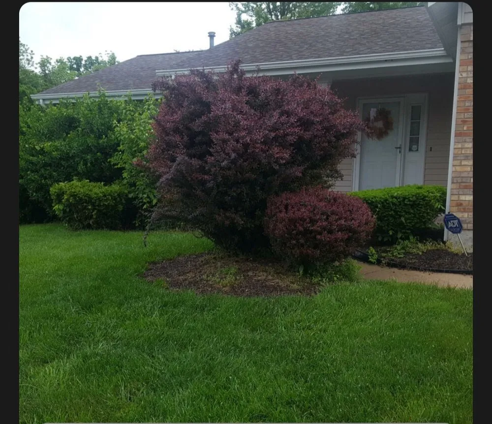 Expert landscape installation in Ofallon, MO - KKL Outdoor and Landscape