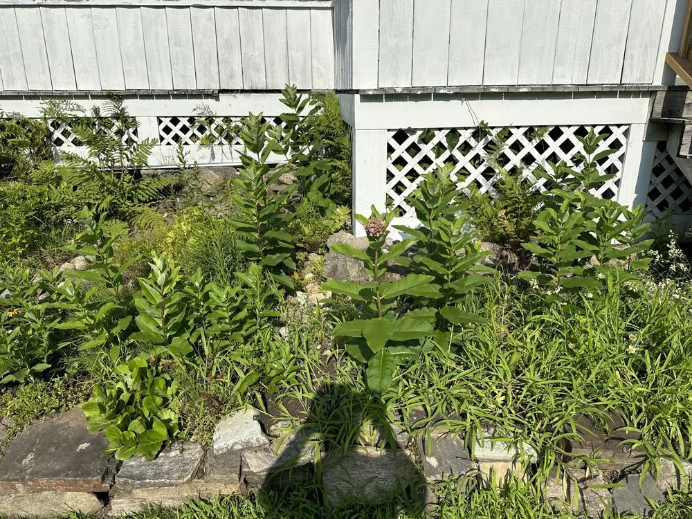 Trusted landscaping services in Lake Luzerne, NY - KK&R Lawn Care