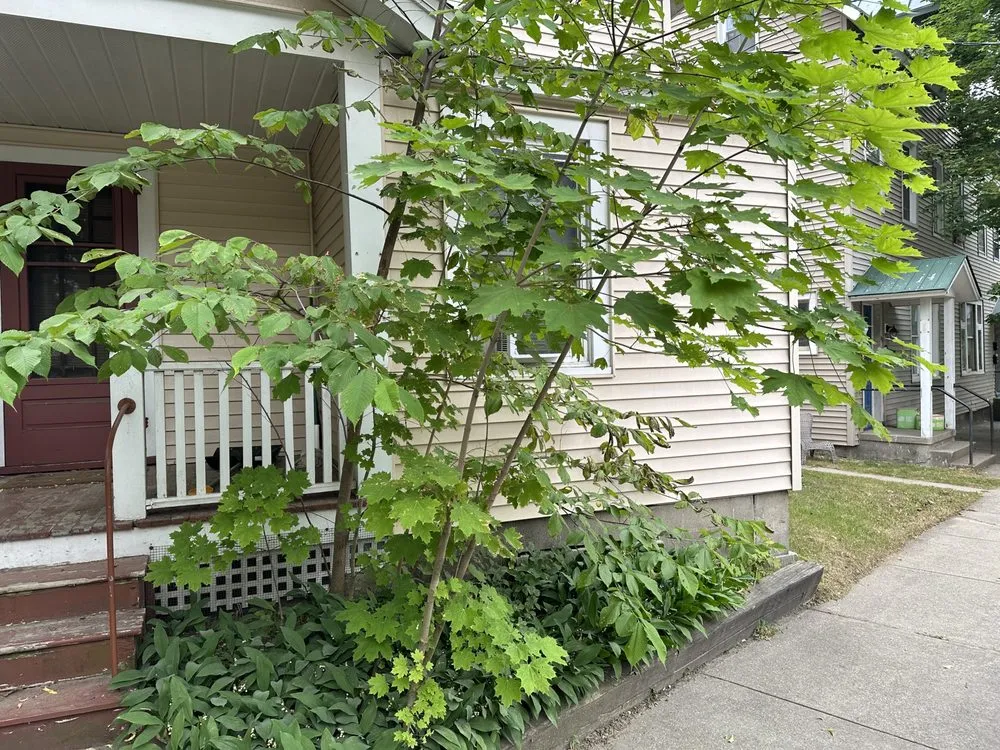 Expert landscaping services experts serving Lake Luzerne, NY - KK&R Lawn Care