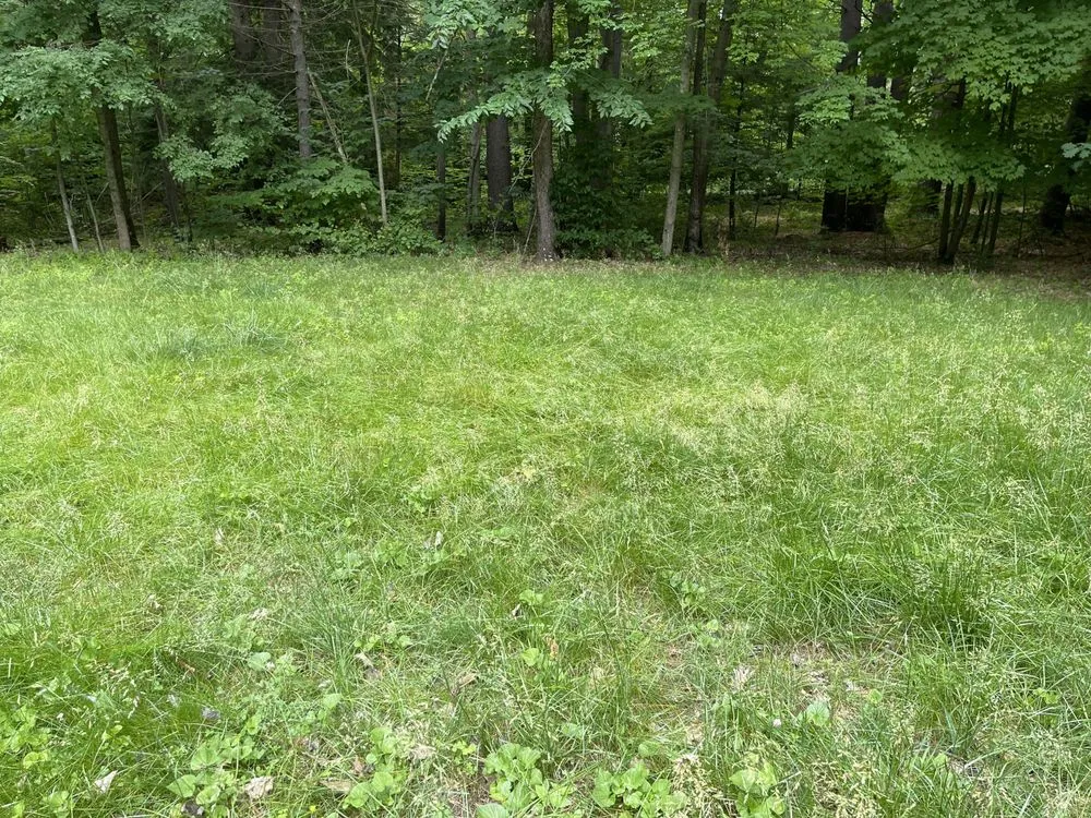 Professional lawn mowing service with custom design in Lake Luzerne, NY by KK&R Lawn Care