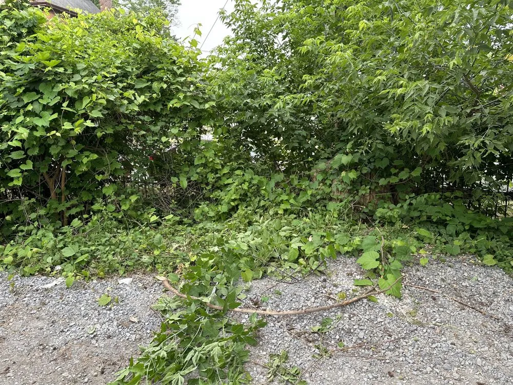 Custom yard maintenance in Lake Luzerne, NY by KK&R Lawn Care