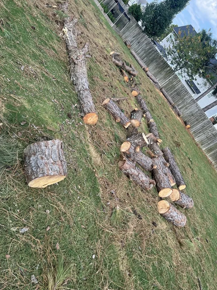 Affordable landscaping services in Lillington, NC - Kl & Nj's Lawn Maintenance & Junk Removal