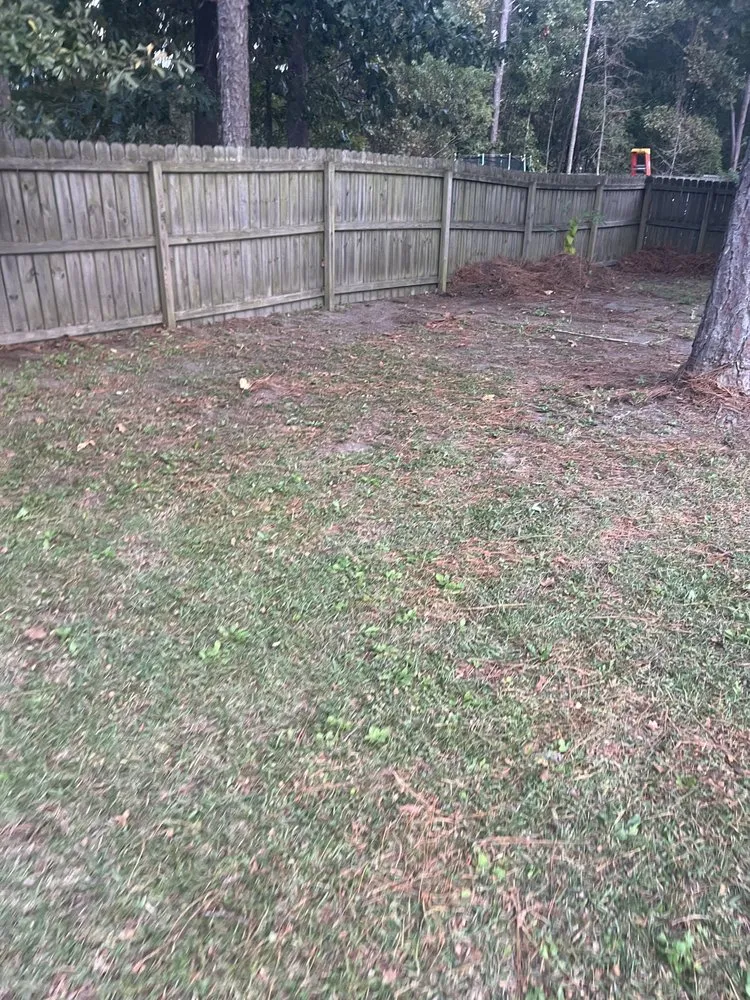 Reliable landscape design experts serving Lillington, NC - Kl & Nj's Lawn Maintenance & Junk Removal