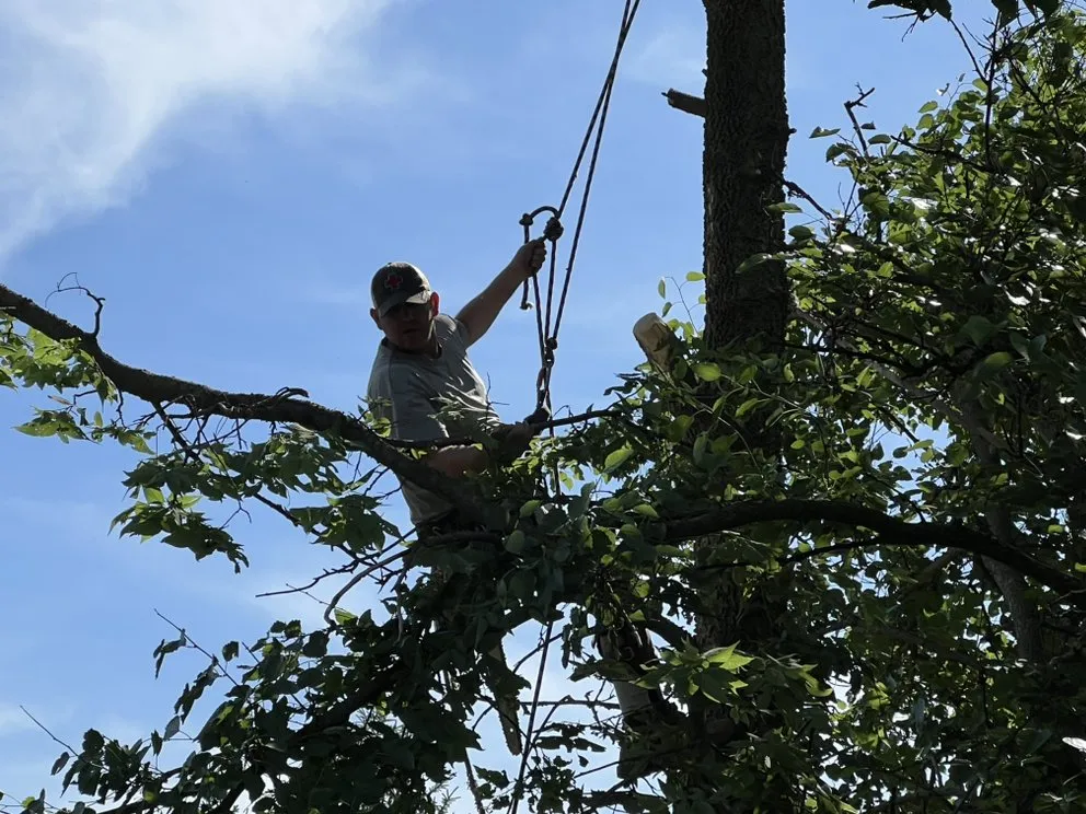 Custom landscape installation for year-round maintenance in Lillington, NC by Kl & Nj's Lawn Maintenance & Junk Removal