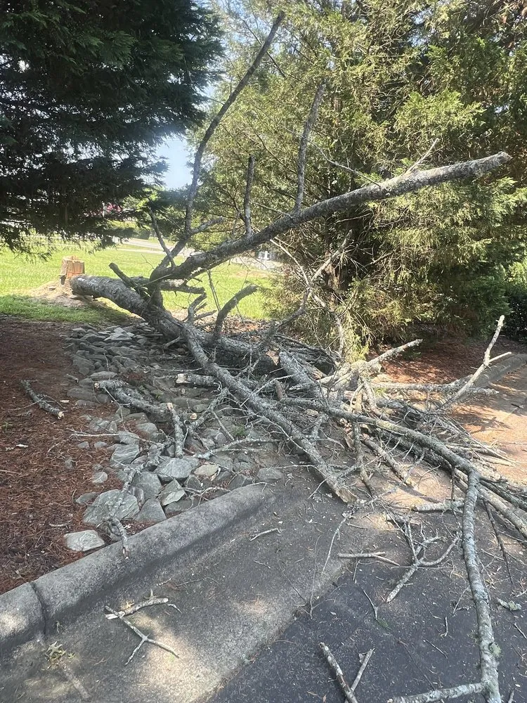 Affordable yard maintenance in Lillington, NC by Kl & Nj's Lawn Maintenance & Junk Removal