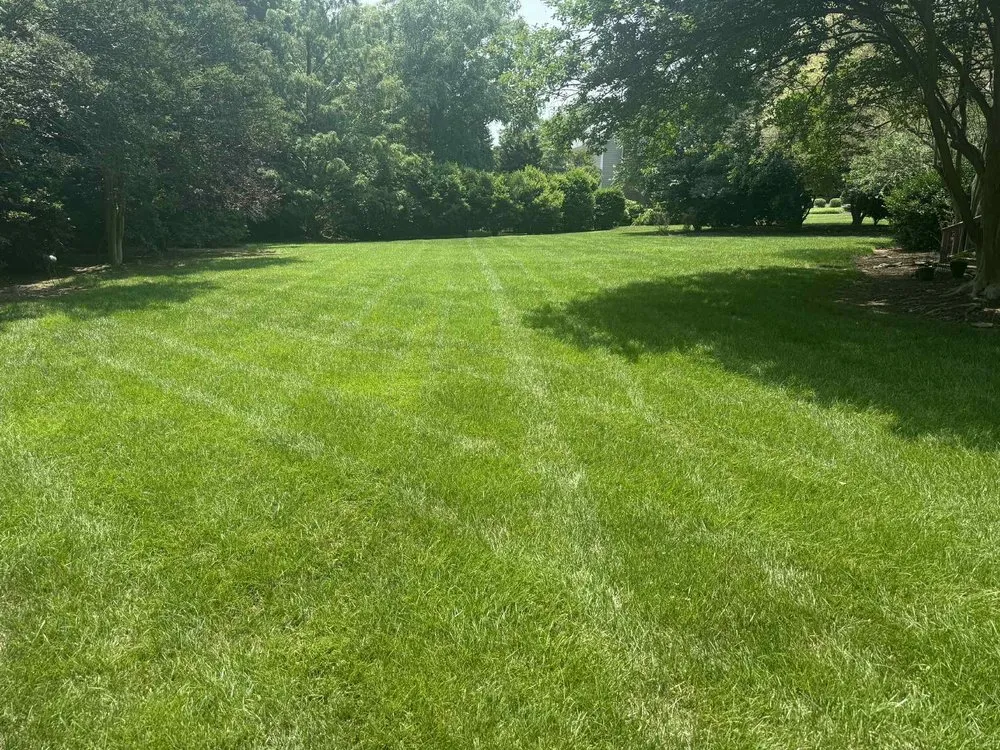 Professional garden landscaping in Lillington, NC - Kl & Nj's Lawn Maintenance & Junk Removal