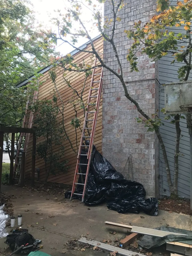 Expert yard maintenance for residential properties across Seattle, WA - K&L Investments & management