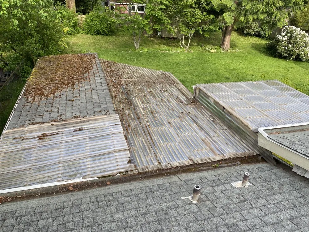 Professional yard cleanup service in Seattle, WA - K&L Investments & management