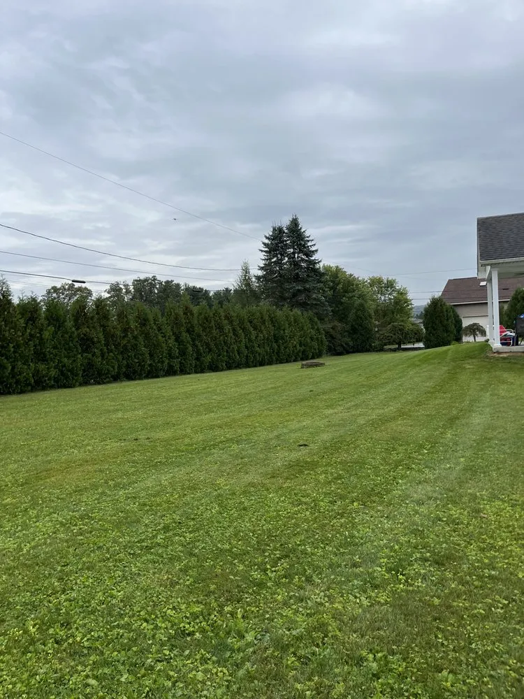 Expert residential landscaping for year-round maintenance in Woodland, PA by KL Landscape