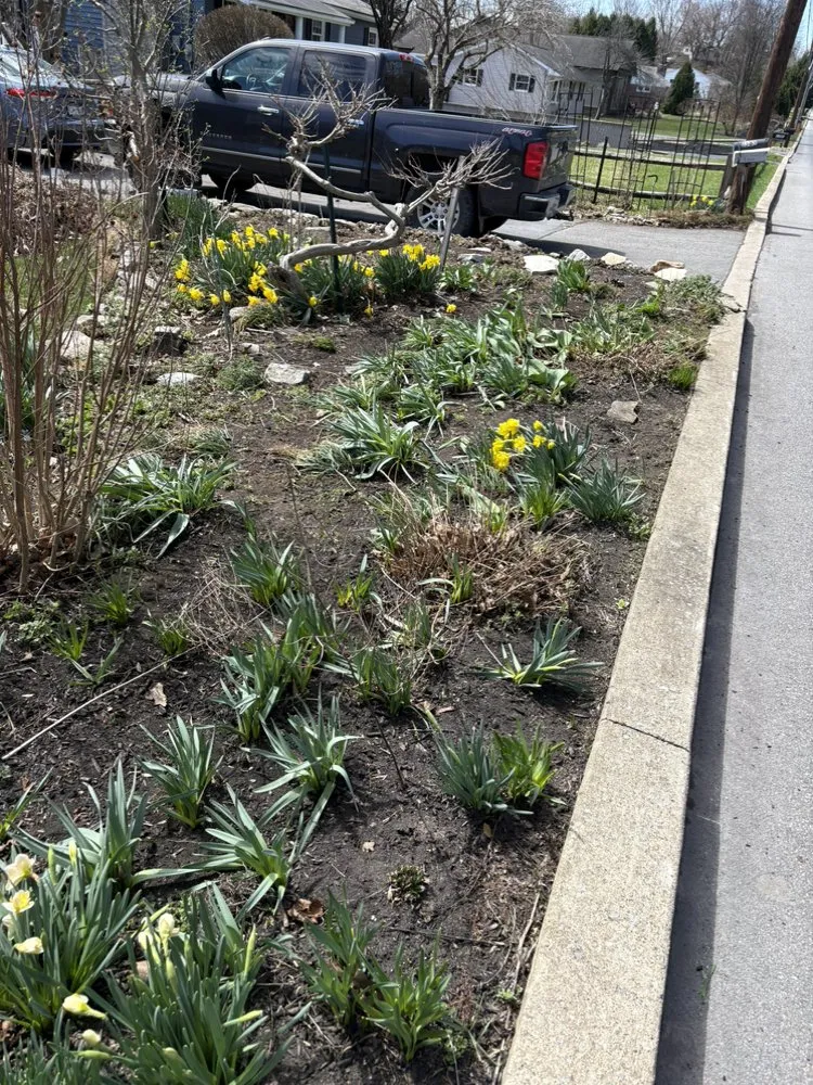 Top-rated lawn mowing service in Woodland, PA - KL Landscape