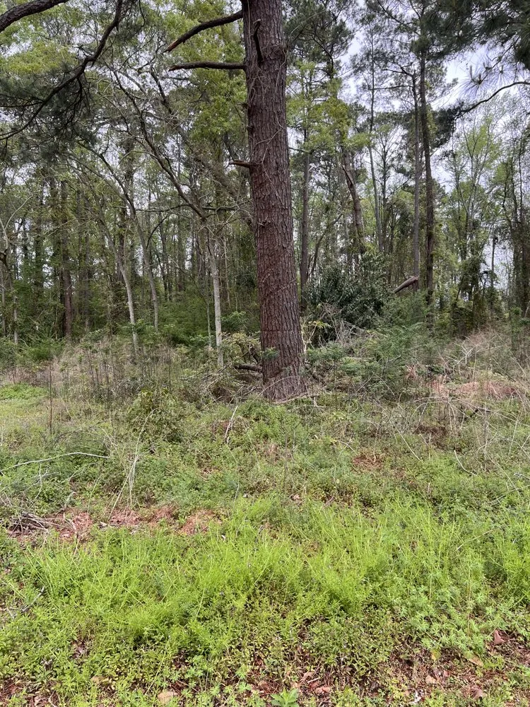 Local lawn mowing service in Clarkton, NC by K&L Landscaping & More