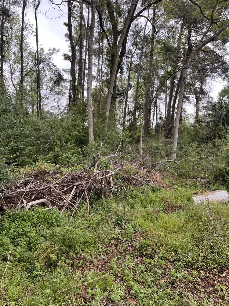 Trusted garden landscaping near you across Clarkton, NC - K&L Landscaping & More