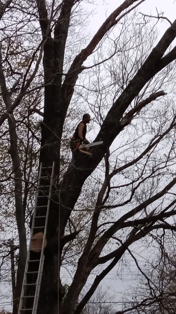 Trusted yard cleanup service in Dickson, TN - K&L Landscaping & Tree Service