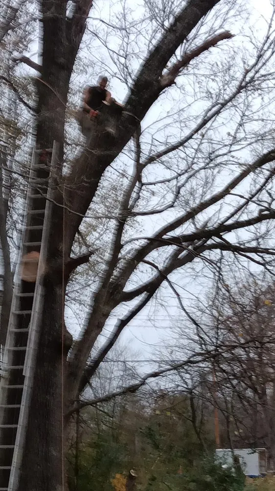 Trusted garden landscaping for beautiful yards in Dickson, TN by K&L Landscaping & Tree Service