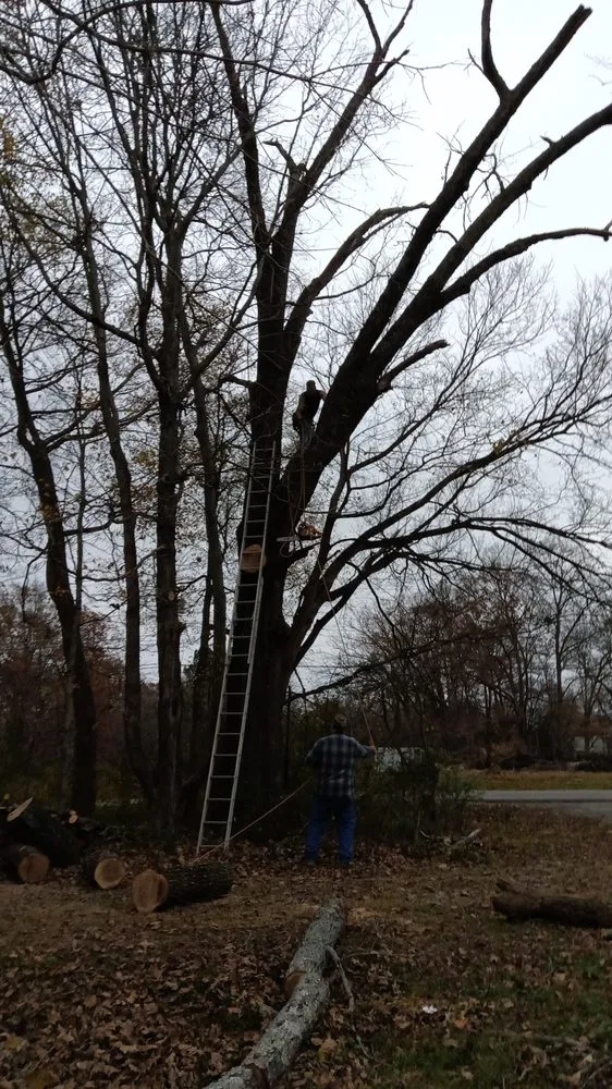 Custom outdoor landscaping in Dickson, TN by K&L Landscaping & Tree Service