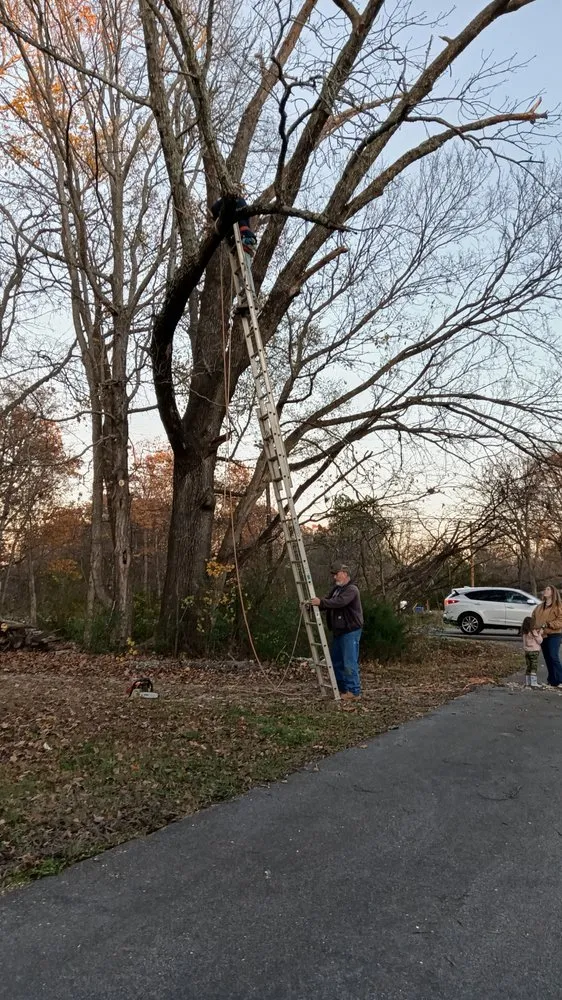 Trusted yard maintenance in Dickson, TN by K&L Landscaping & Tree Service