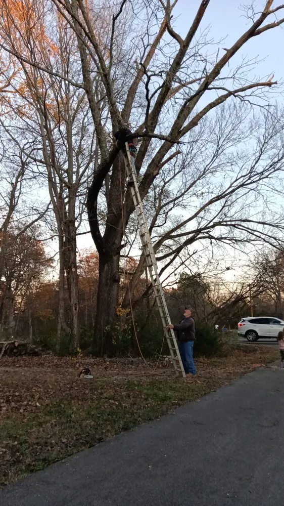 Affordable yard cleanup service in Dickson, TN by K&L Landscaping & Tree Service